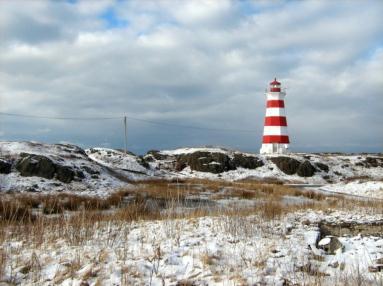 ERA for Lightstation Sites in Atlantic Canada Ecological Risk Assessment Primary contaminants of concern and potential sources: Metals: lead, mercury, zinc Lead-based paints Battery use and