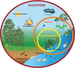 Ecosystem A community of