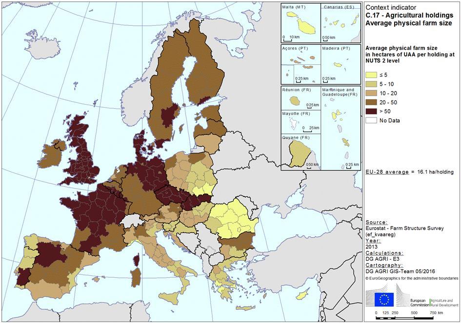 Physical farm size The average farm in the EU-28 had 16.1 ha of agricultural land in 2013. Big differences remain between the EU-15 (28.