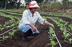 FTF and Climate Smart Food Sustainable Intensification to increase agricultural productivity, protect biodiversity, maintain sufficient amounts of clean water, and meet the increasing food demands of