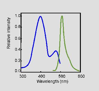Fluorescence and fluorochromes Jablonski diagram Fluorochrome (also termed fluorophore), is a fluorescent chemical compound that can re-emit light upon light excitation.