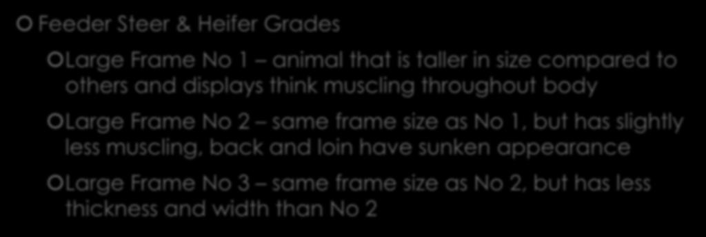 Quality Features of Beef Feeder Steer & Heifer Grades Large Frame No 1 animal that is taller in size compared to others and displays think muscling throughout body Large Frame No