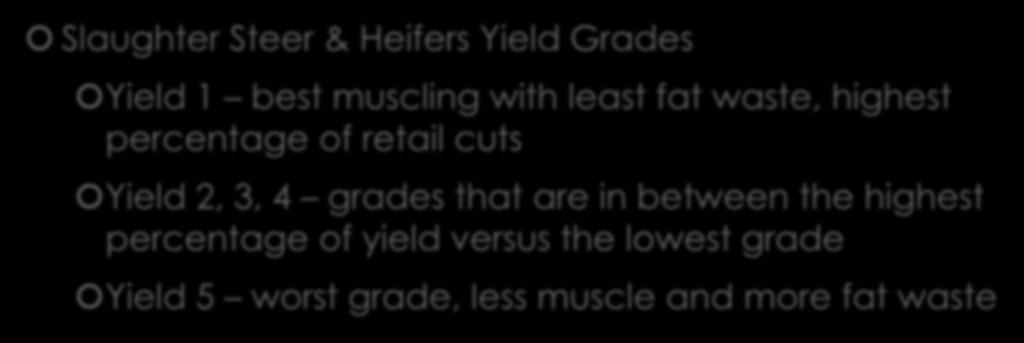 Quality Features of Beef Slaughter Steer & Heifers Yield Grades Yield 1 best muscling with least fat waste, highest percentage of retail cuts