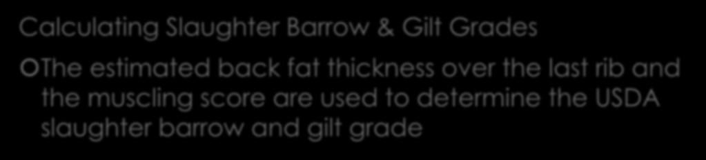 Quality Features of Swine Calculating Slaughter Barrow & Gilt Grades The estimated back fat thickness