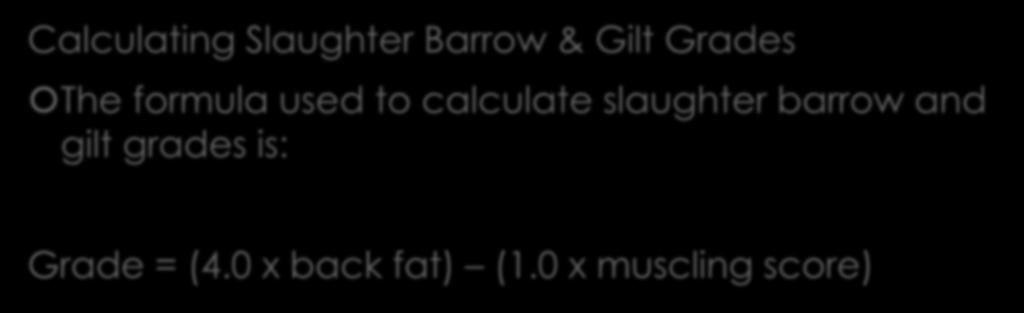Quality Features of Swine Calculating Slaughter Barrow & Gilt Grades The formula used to