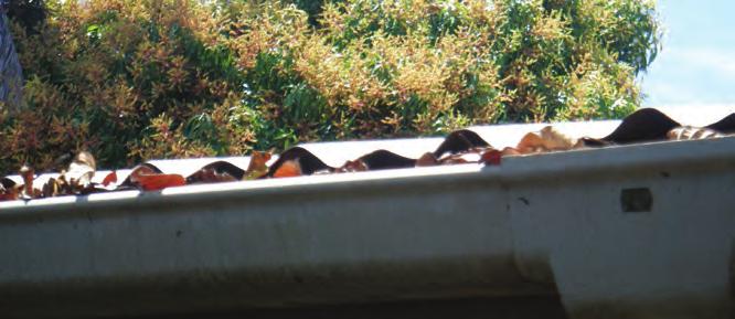 Problems Vegetation falling in guttering from overhanging trees, being washed into storage tank, rotting and adding sediment, causing bad taste and smell.