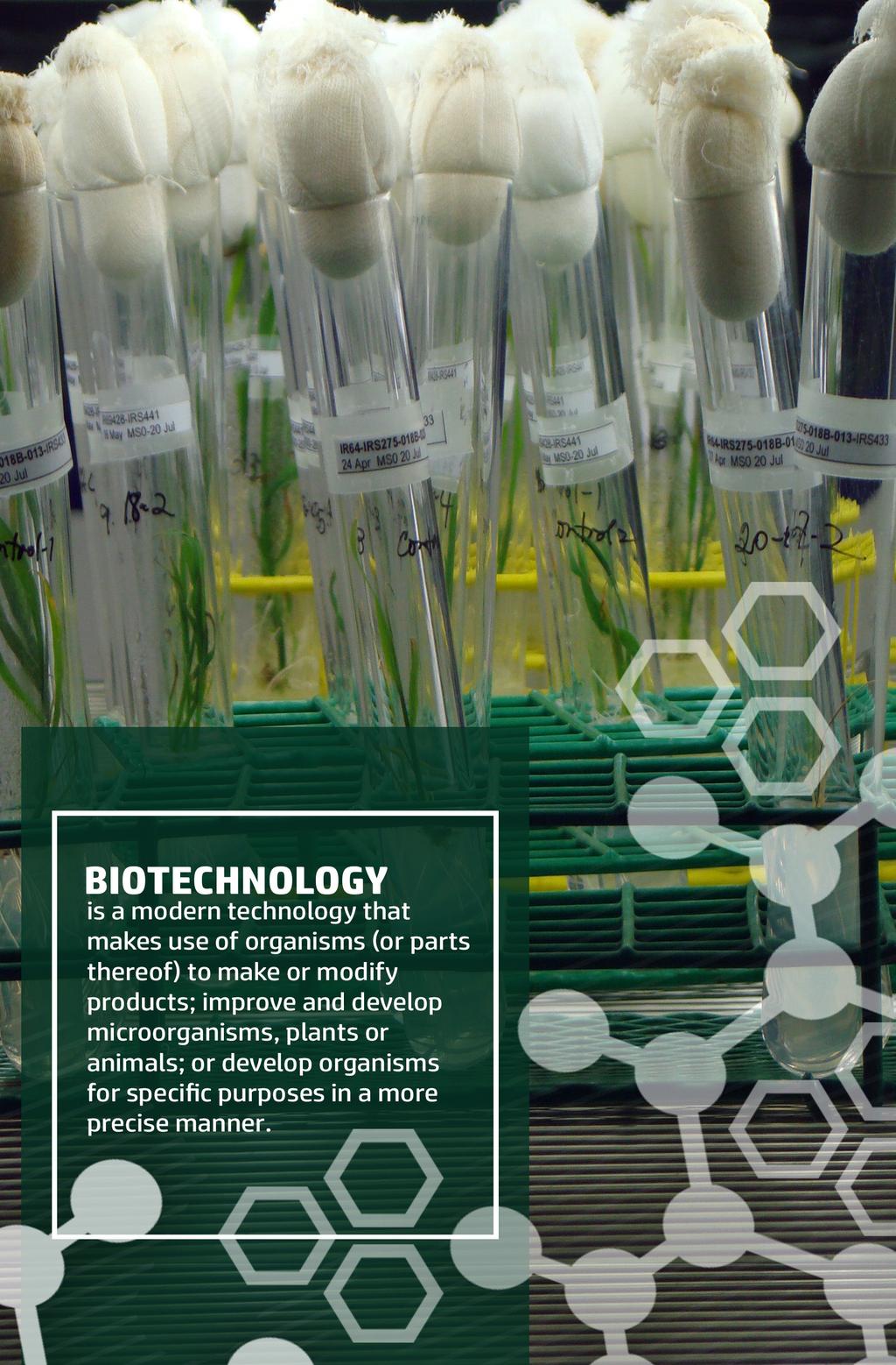 WHAT IS BIOTECHNOLOGY?