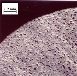 It is noted, owing to the optical micrograph examination of the SBC foamed extrudates (see Fig.7) that present a random cellular structure where the cells partially communicate.