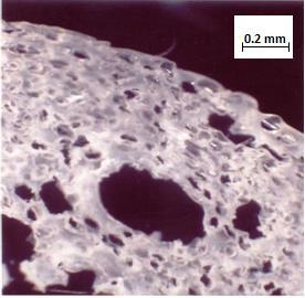 a- Optical micrograph (X 9) of foamed rigid PVC extrudate (70% ABFA of BA mixture based on their optimum concentrations) at 50rpm Fig. 10.