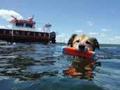 Peeve: Summer thunderstorms that keep him from his favorite walks Favorite Lake Place: Visiting August, the Williams Bay Harbor Master 66 n www.atthelakemagazine.