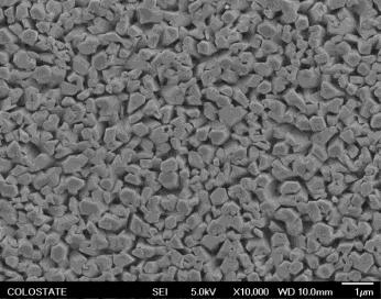 In depth microstructure characterization of the film is carried out using Scanning Electron Microscopy (SEM), Transmission Electron Microscopy (TEM) and High Resolution Transmission Electron