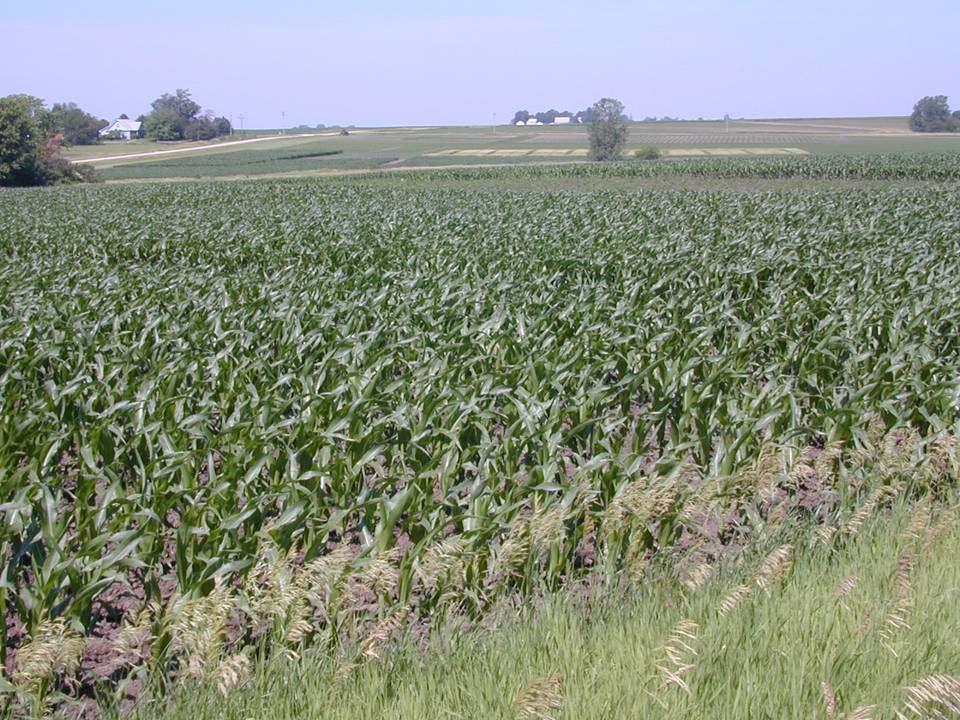 NCR Publication 533 Soil Cation Ratios for Crop Production ISU Extension and Outreach Store