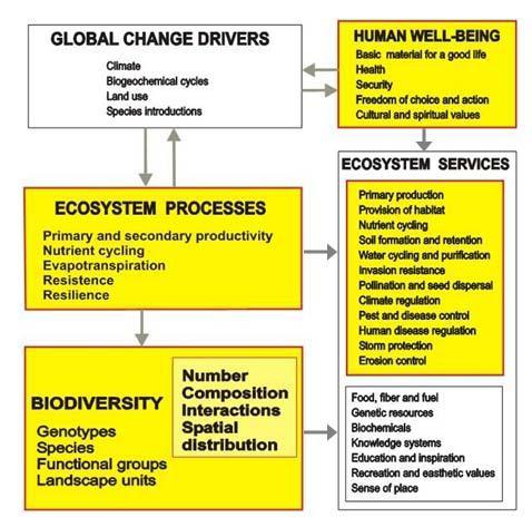 A possible GEO Water/GWSP Workshop with GEO BON GEO BON will: To provide a global, scientifically-robust framework for observations designed to detect biodiversity change To coordinate the data
