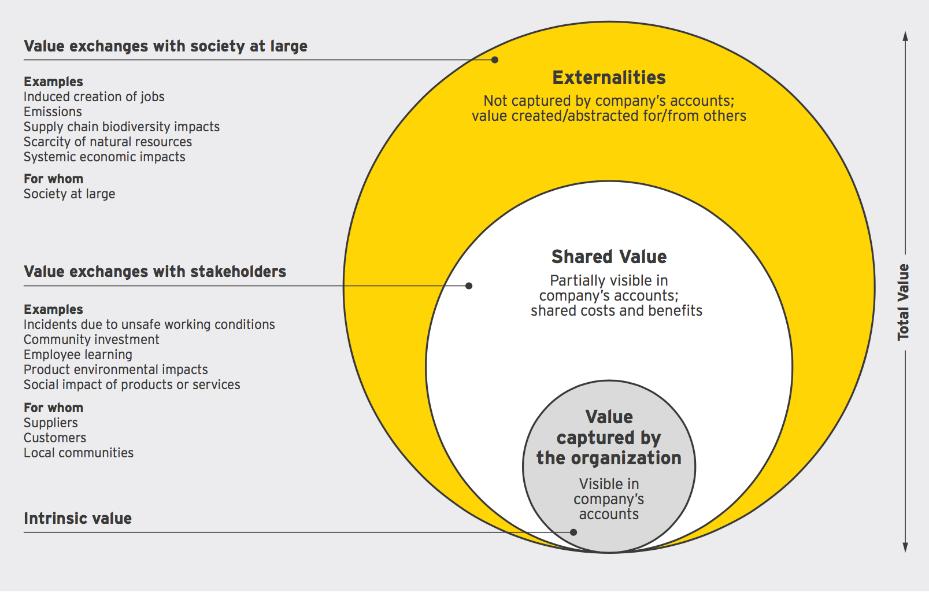 E&Y TOTAL VALUE (2017) EY Total Value approach uses 7 steps for measuring and valuing impacts: objective, materiality analysis, impact pathways,