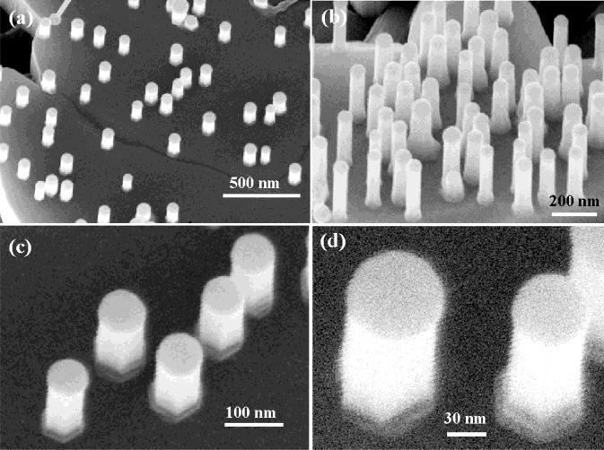 Figure 3. Perpendicular growth of nanorods on the c plane of ZnO microrods. (a, b) Dispersively oriented nanorods with inter-rod distances of 400 and 100 nm, respectively.