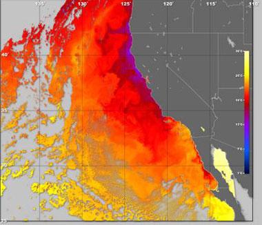 Upwelling Focused currents of deep cool, saline, oxygen-poor and nutrientrich waters are upwelled http://oceanmotion.