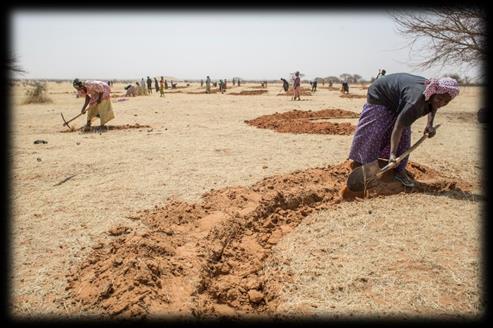 Key FAO programmes on combating desertification and building resilience: the Great Green Wall The Great Green Wall for the Sahara and the Sahel Initiative (GGWSSI) is a