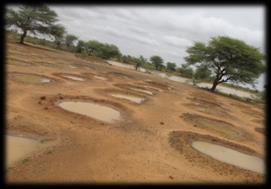 Action Against Desertification programme: FAO s support to the Great Green Wall Launched in 2014, implemented