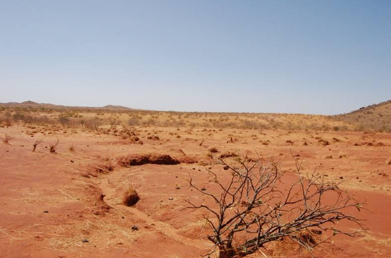Key Finding (-) Desertification, climate change and other forms of environmental degradation strongly contribute to poverty, displacement and conflict in dryland Sudan A complex and