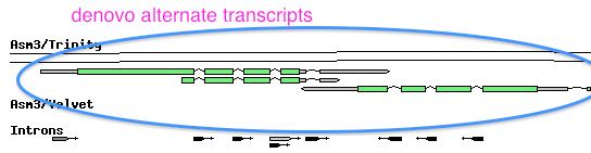 Genes without genomes? Yes. E.g., Locust gene set is assembled without a genome.