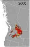 Tree species with their northern range limit in British Columbia gain potential habitat at a pace of at least 100 km per