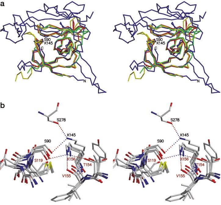 9516 Crystal Structure of E. coli Type I Signal Peptidase TABLE II Active site water molecules in the E.