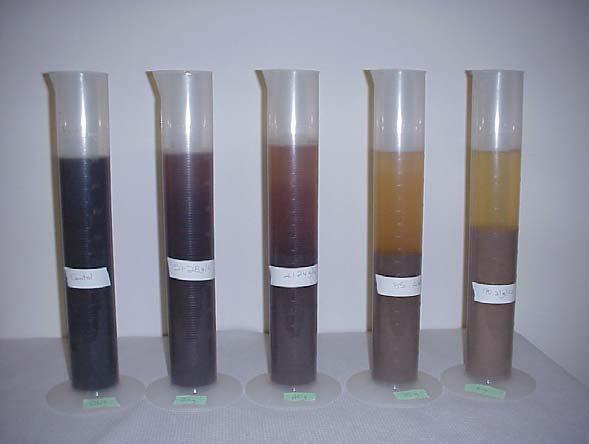 Fig.1. Gravity settling of dairy lagoon sludge The initial time and actual volume of the sludge/scrubber by-product mixture in each cylinder was recorded.