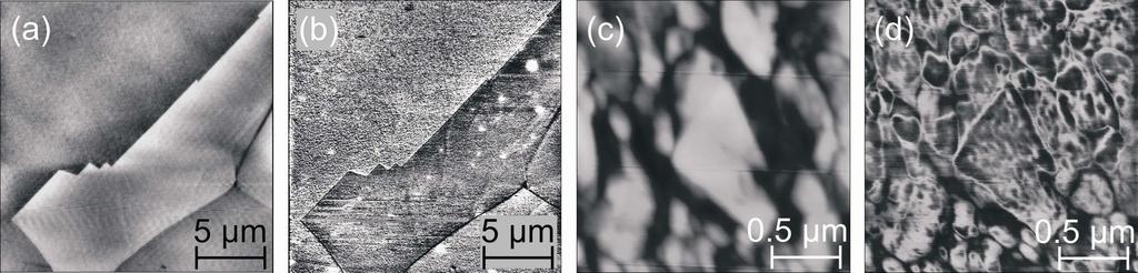 3. AFAM Experiments on Nickel Samples Examples of topography and AFAM images of nickel samples are shown in Figures 4 (a)- (d).