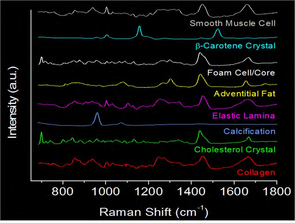Biospectroscopy Examples of Raman Spectroscopy Buschman