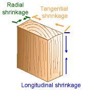 Characteristics of Wood Wood shrinks most in the radial and tangential