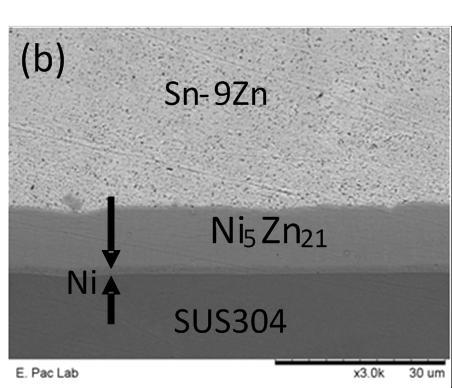 the reaction rate between the Sn-9Zn alloy reacted with the Au/Ni/SUS304 multi-layer substrate. 3.