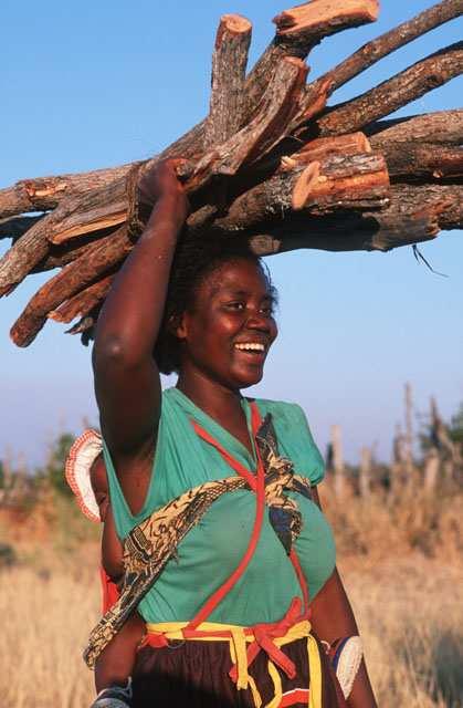 Why gender is important Impact of the actions in relation to the conservation and