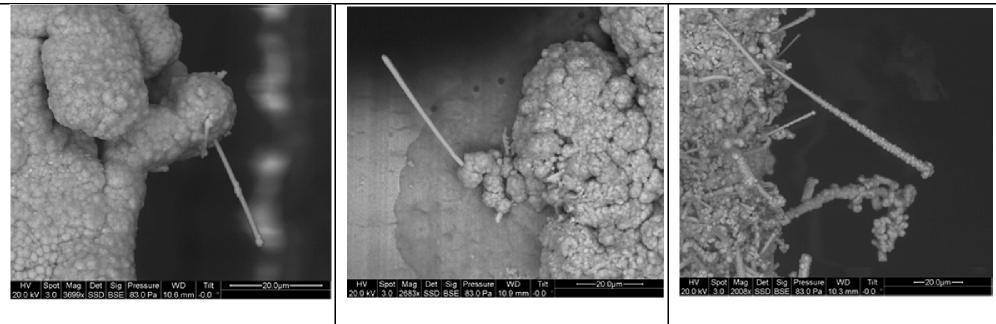 Examination of the corrosion products under scanning electronic microscopy revealed complex corrosion structures.