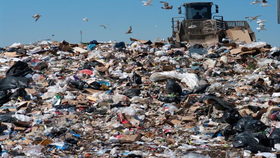 We cannot afford more landfill Decay of