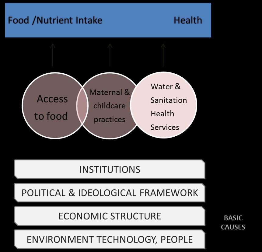 Nutrition security Healthy environments (free from contaminants and