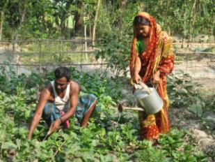Pilot Home Gardening Project initiated in Bangladesh Initiated the first pilot project in 1990 to improve dietary diversity and micronutrient status, particularly vitamin A