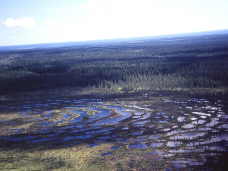 In the boreal zone peatlands contain 7 x more