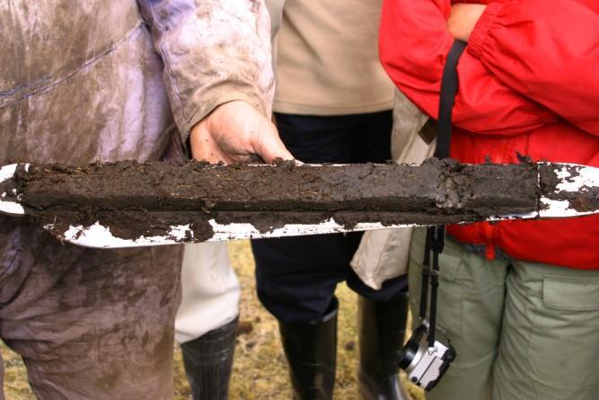 Peat accumulates during thousands of years