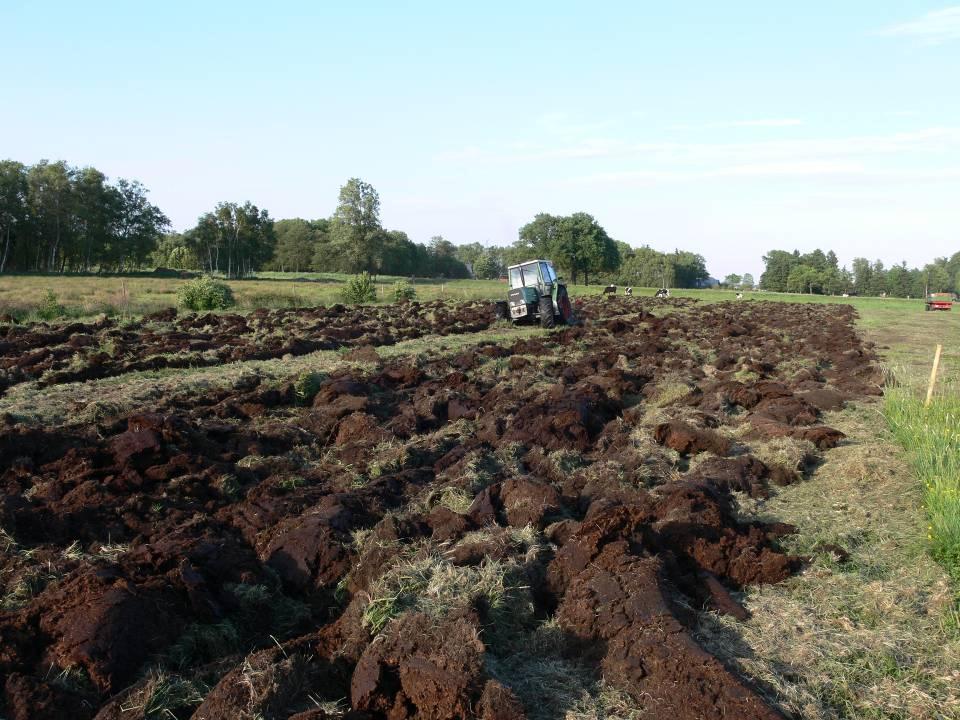 although draining, plowing and fertilizing of