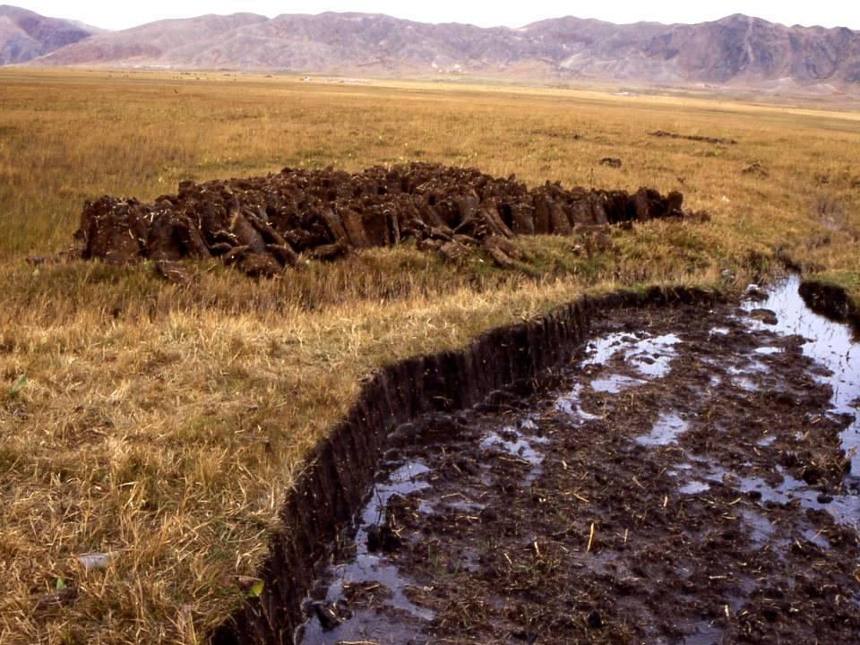 Peatlands are the most space-effective