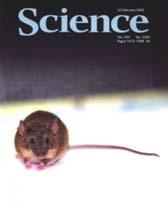 in the Mouse Rapid, prospective experiments Large pedigrees,