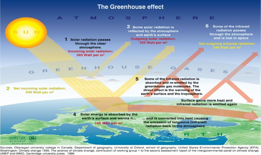 Green House Effect Under normal concentrations of CO 2, the temperature of the earth s surface is maintained by the energy balance of the sun s rays that strike the planet and the heat is radiated