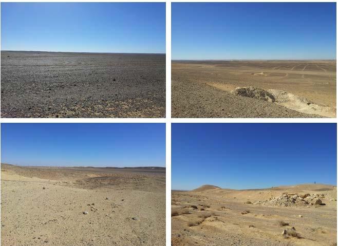 4.2 Environmental & Social Baseline Conditions & Impacts (i) Landscape and Visual The Project area is characterized by fairly flat surfaces shown in Figure C and is classified as a desert-like