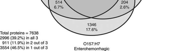 Based on the differences between the benign K-12 strain and the enterohemorrhagic O157:H7 strain, would you predict that there are obvious genomic differences: a.