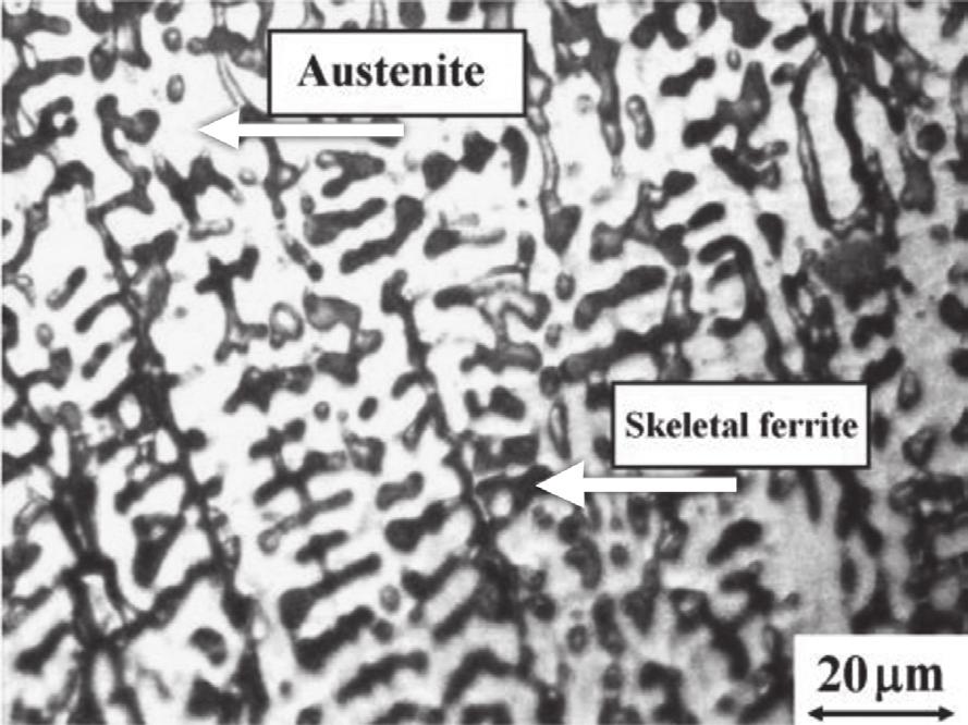 The microstructure of 309L austenitic stainless steel weld metal is shown in Figure 2.