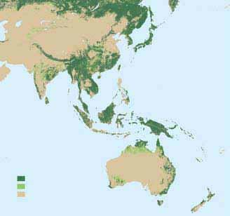 Asia and the Pacific EXTENT OF FOREST RESOURCES FIGURE 13 Forest Other wooded land Other land cover SOURCE: FAO, 2001a.