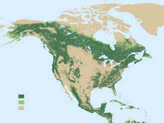 North America EXTENT OF FOREST RESOURCES TABLE 33 Extent and change of forest area Subregion Area (1 000 ha) Annual change (1 000 ha) Annual change rate (%) 1990 2000 2005 1990 2000 2000 2005 1990