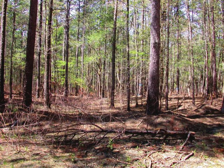 2015 Arkansas State Wildlife Grant Pre-proposal Pine-oak Flatwoods Habitat Restoration to Benefit AWAP Species of Greatest Conservation Need Project Summary The Nature Conservancy and partners will