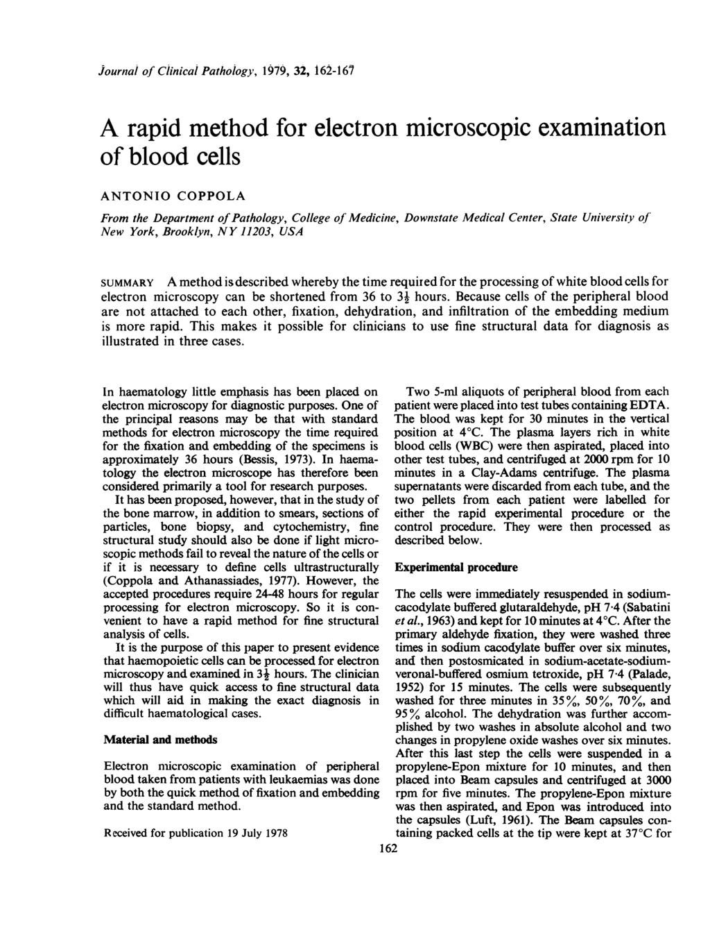 Journal of Clinical Pathology, 1979, 32, 162-1 67 A rapid method for electron microscopic examination of blood cells ANTONIO COPPOLA From the Department ofpathology, College of Medicine, Downstate
