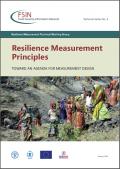Resilience Measurement Resources FSIN TWG on RM